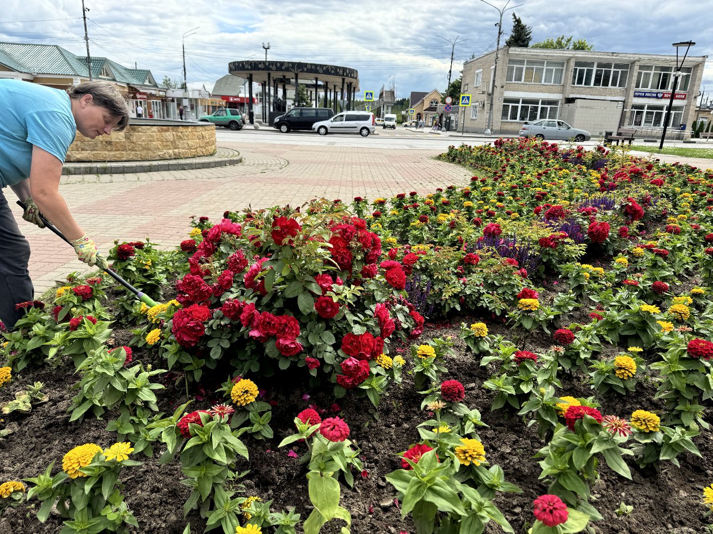 шаховская, клумбы, коммунальная служба, цветы,