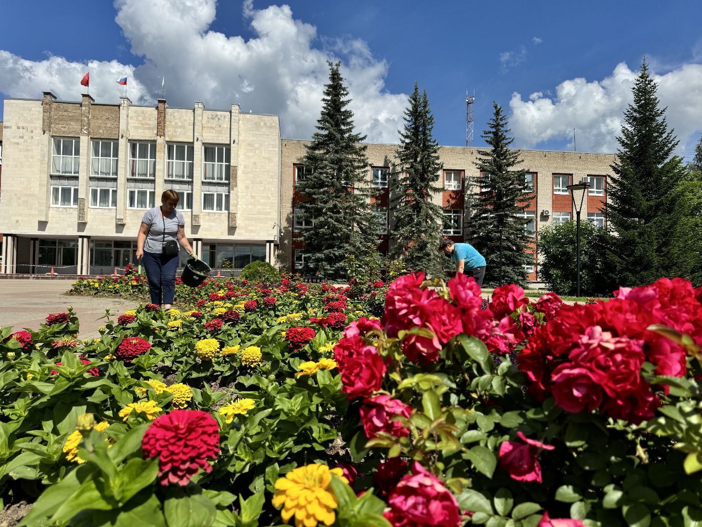 шаховская, клумбы, коммунальная служба, цветы,