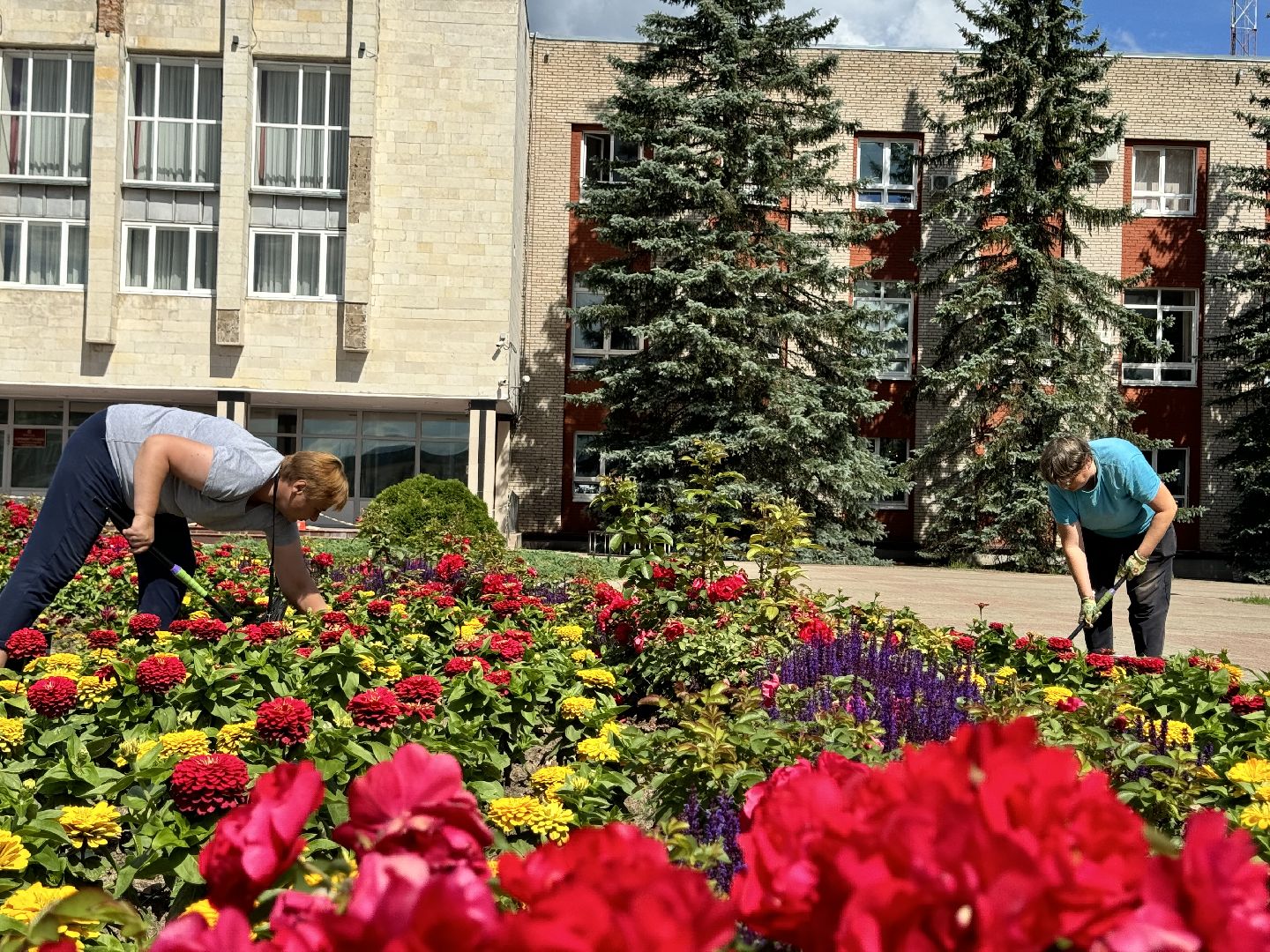 шаховская, клумбы, коммунальная служба, цветы,