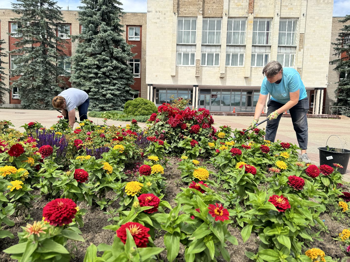 шаховская, клумбы, коммунальная служба, цветы,