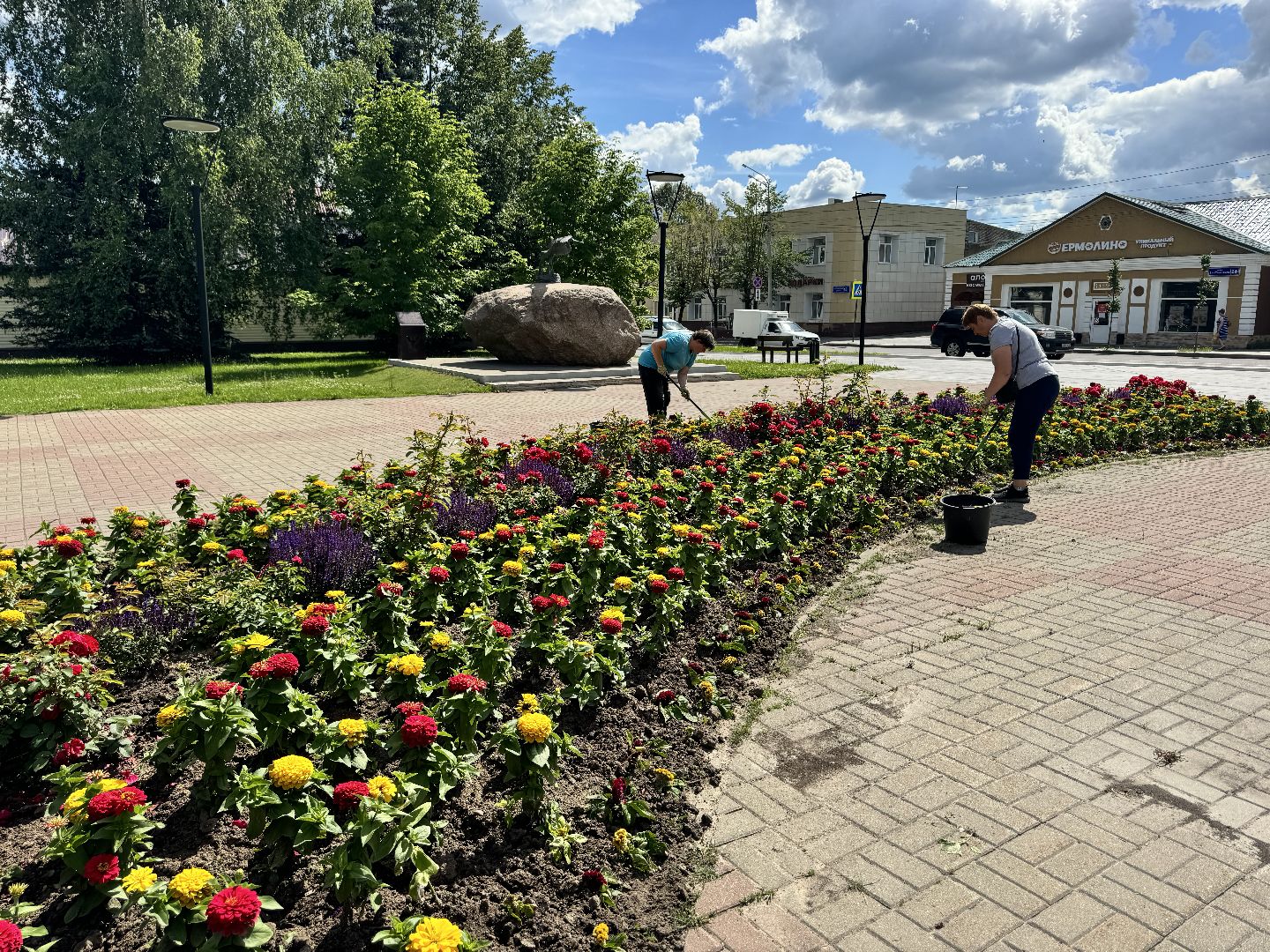 шаховская, клумбы, коммунальная служба, цветы,