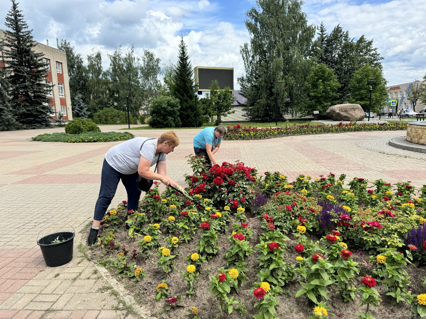 шаховская, клумбы, коммунальная служба, цветы,