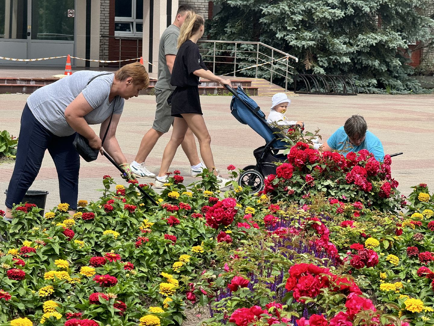 шаховская, клумбы, коммунальная служба, цветы,