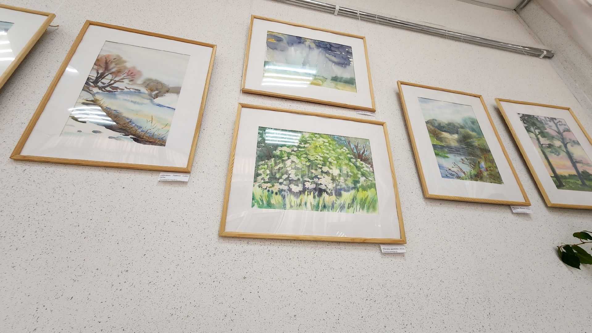 протвино,культура, живопись, историко-краеведческий музей, творчество,