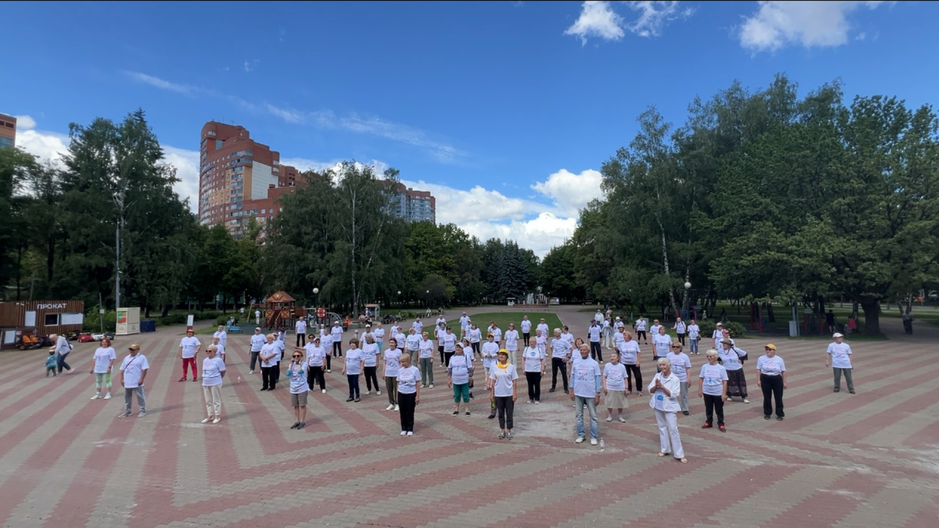 химки, спорт, активное долголетие, зарядка долголетов,