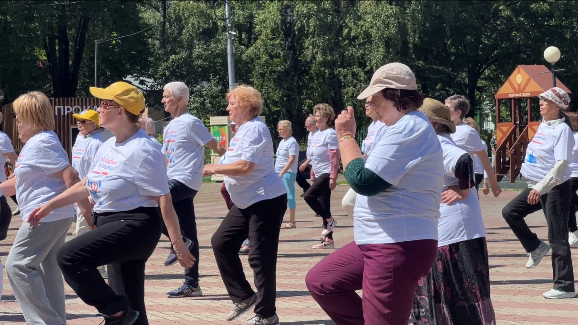 химки, спорт, активное долголетие, зарядка долголетов,