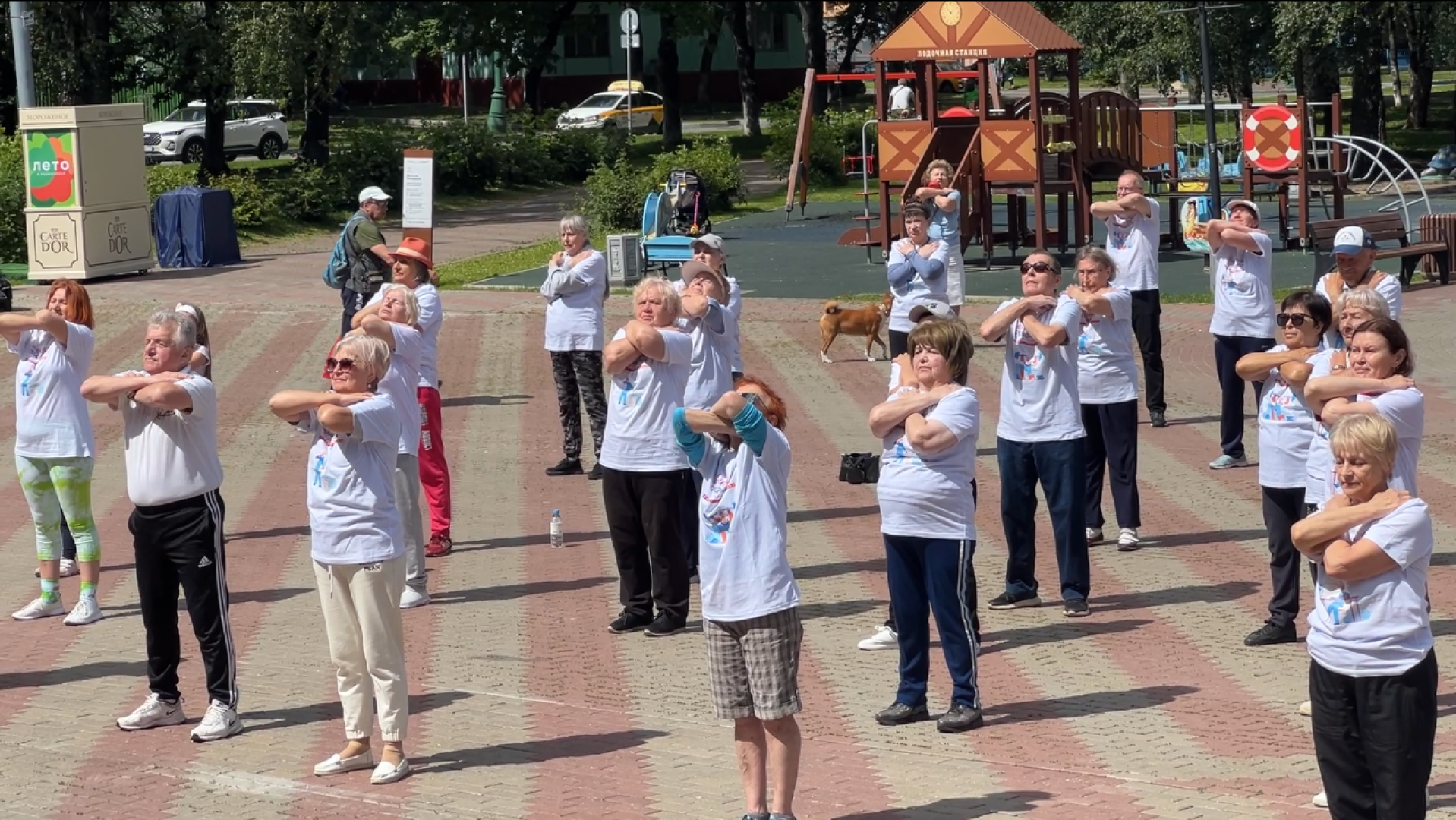 химки, спорт, активное долголетие, зарядка долголетов,