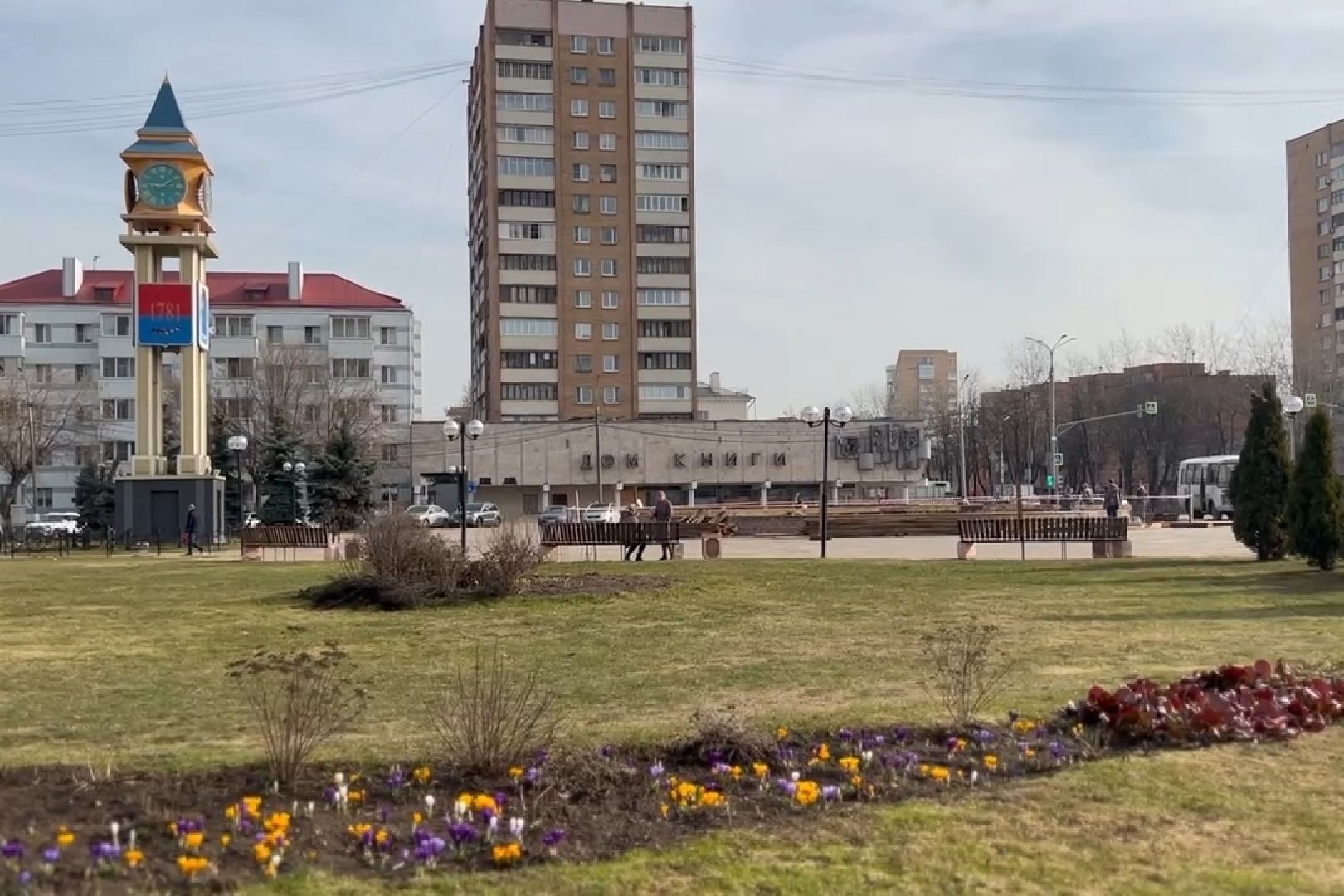 Подольск, цветы, крокус