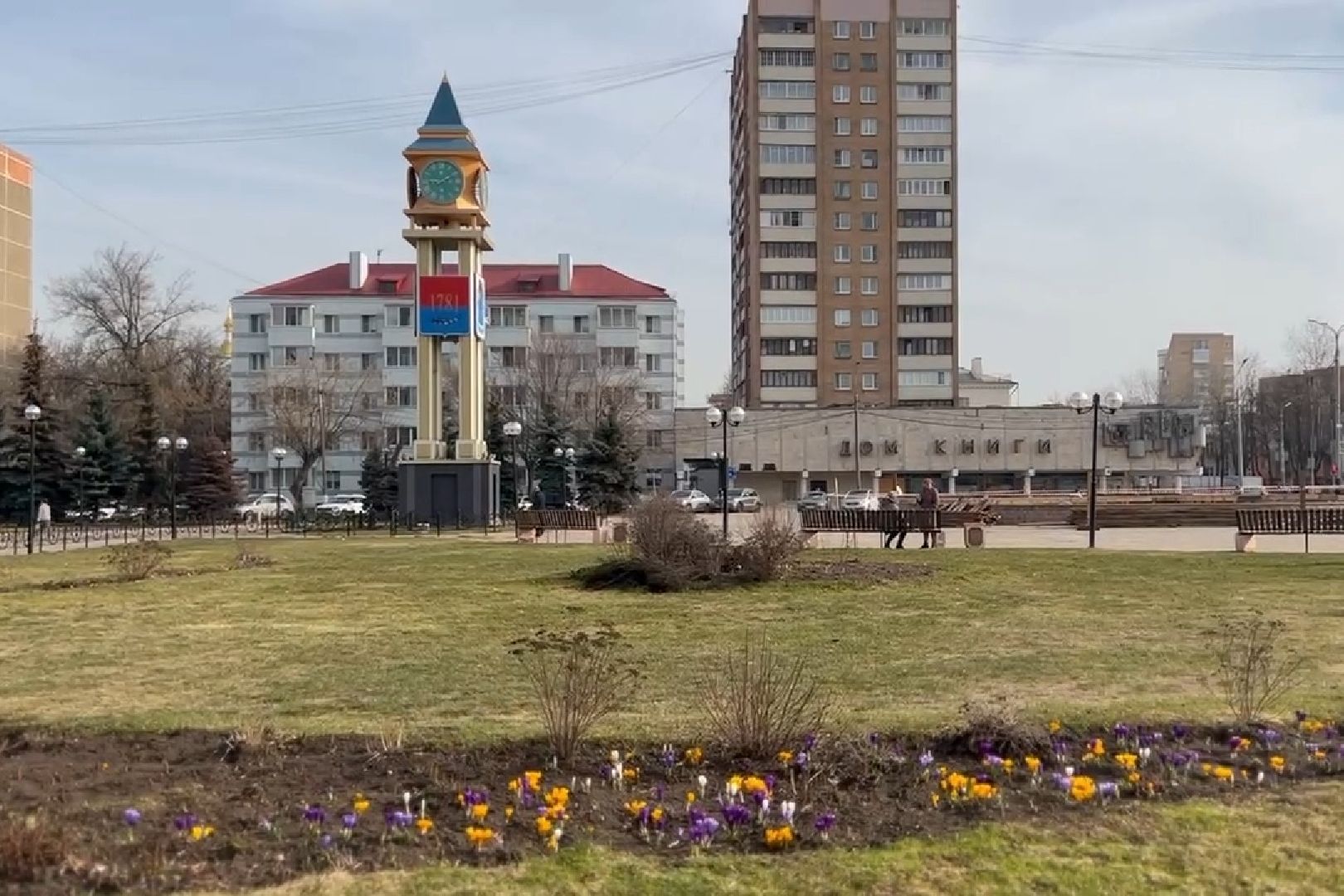 Подольск, цветы, крокус