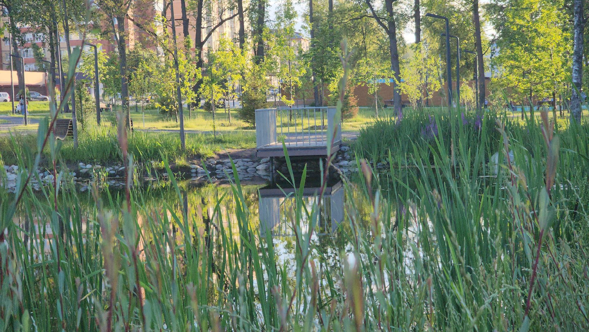 Павловский Посад, Городской округ Павловский Посад, Брак, Парк, Жители, Семья,