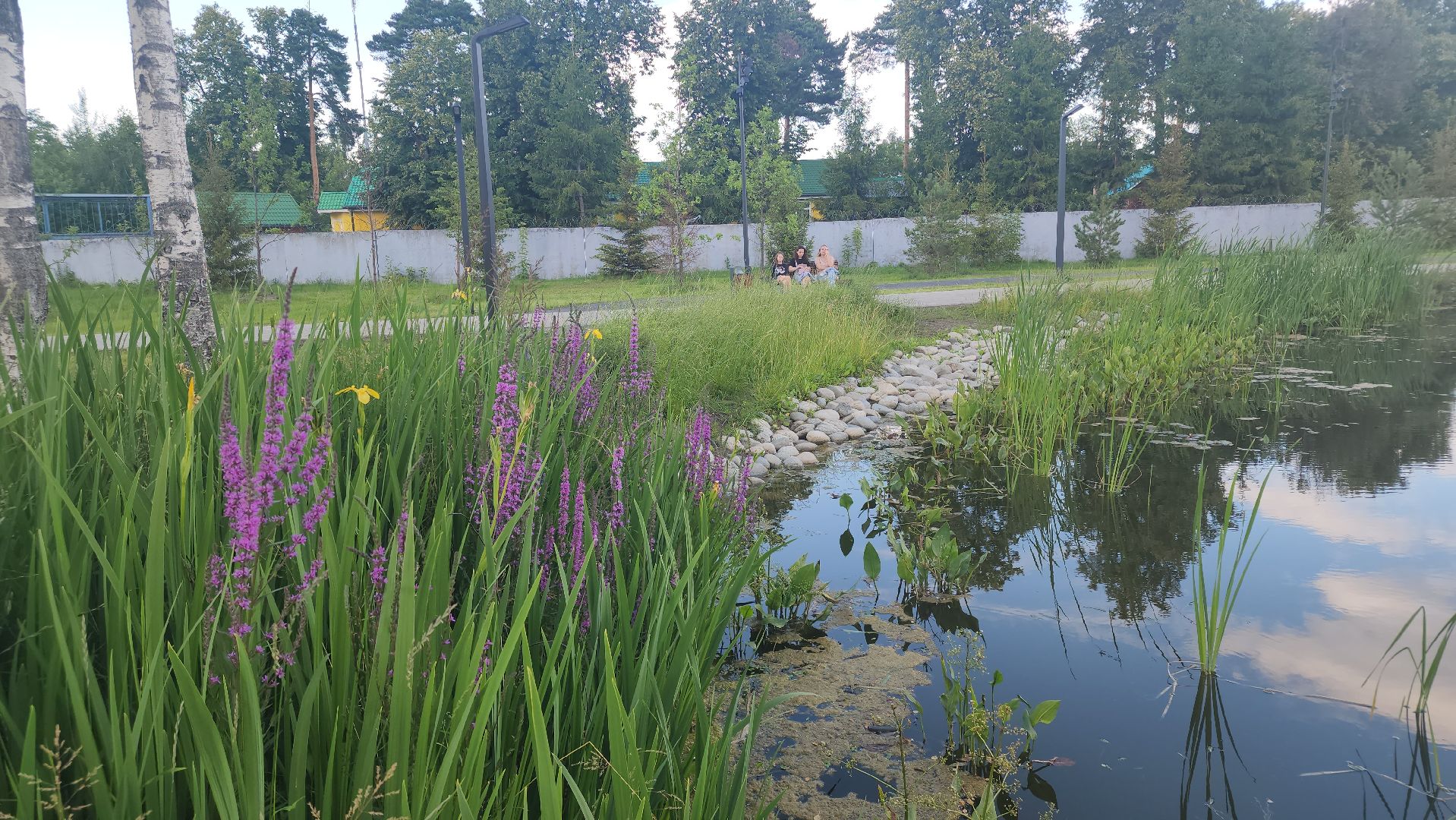 Павловский Посад, Городской округ Павловский Посад, Брак, Парк, Жители, Семья,