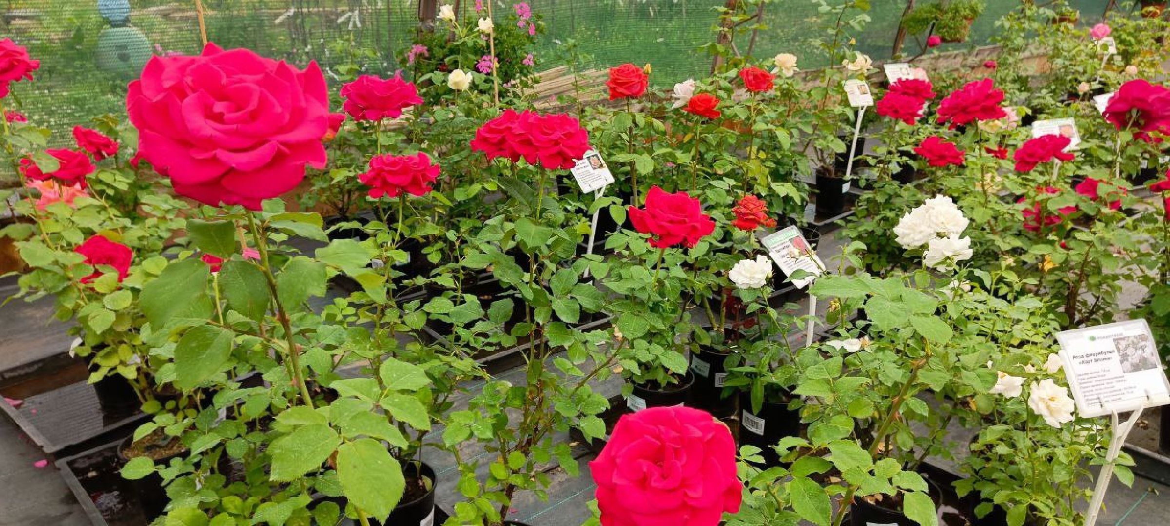 Дмитров, Туризм, Эко-ферма,