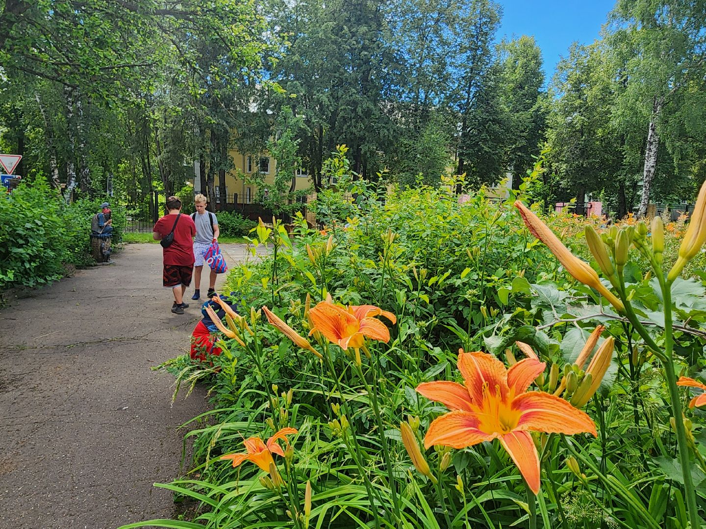 красноармейск, г.о. пушкинский, трудовая бригада, летние каникулы,