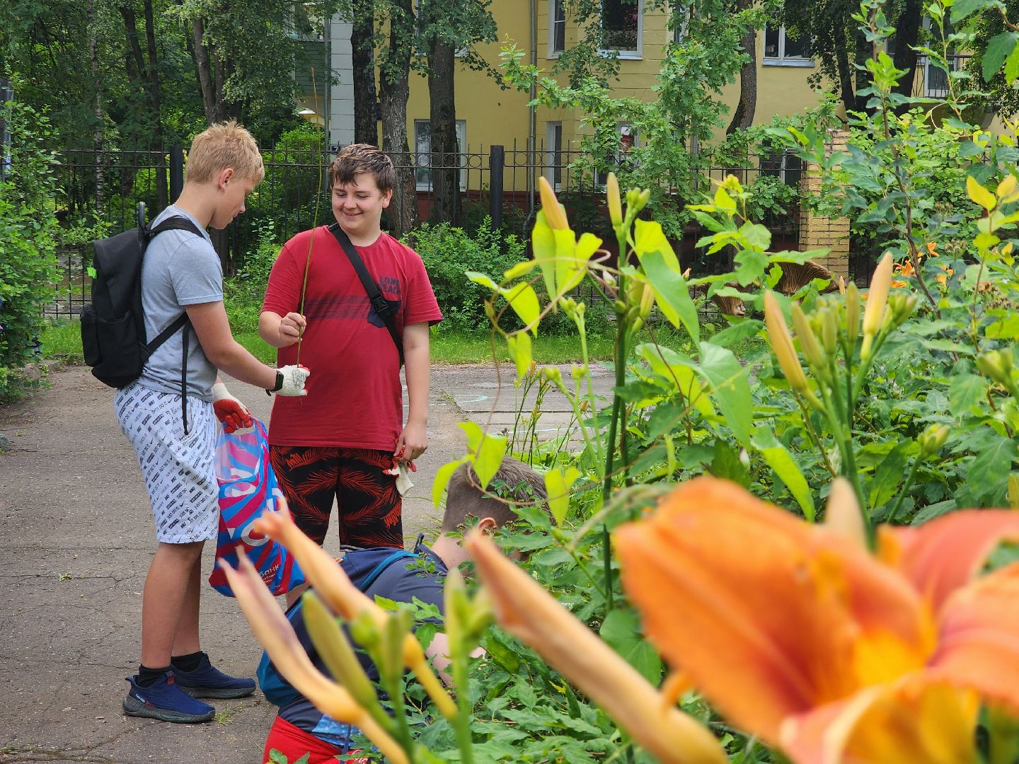 красноармейск, г.о. пушкинский, трудовая бригада, летние каникулы,
