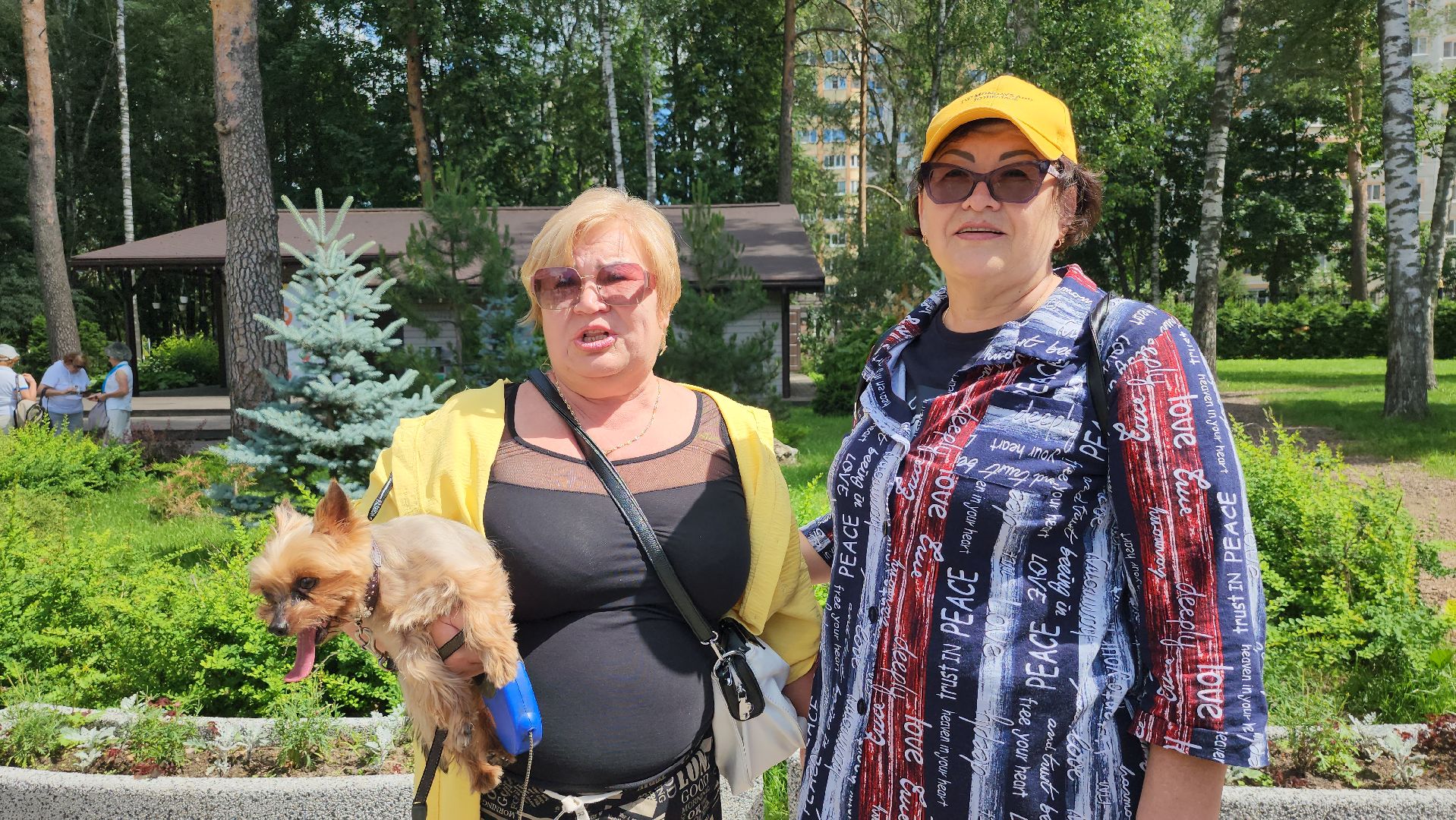 Активное долголетие, Зарядка долголетов, Центральный парк, Ногинск, Богородский городской округ,