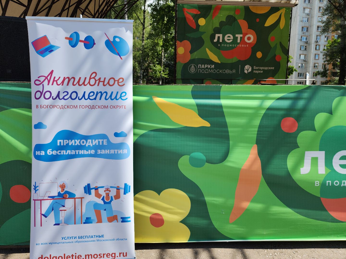 Активное долголетие, Зарядка долголетов, Центральный парк, Ногинск, Богородский городской округ,