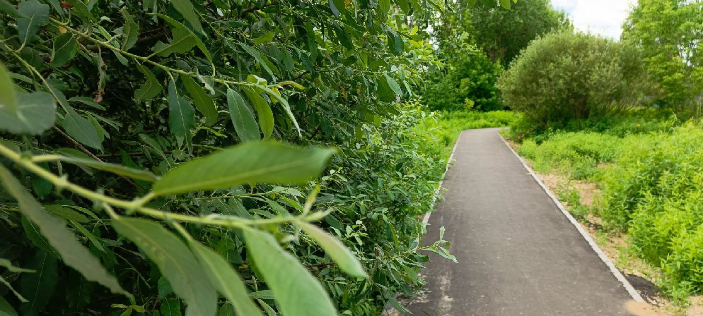 Талдом, Запрудня, Программа Пешком, Народные тропы,