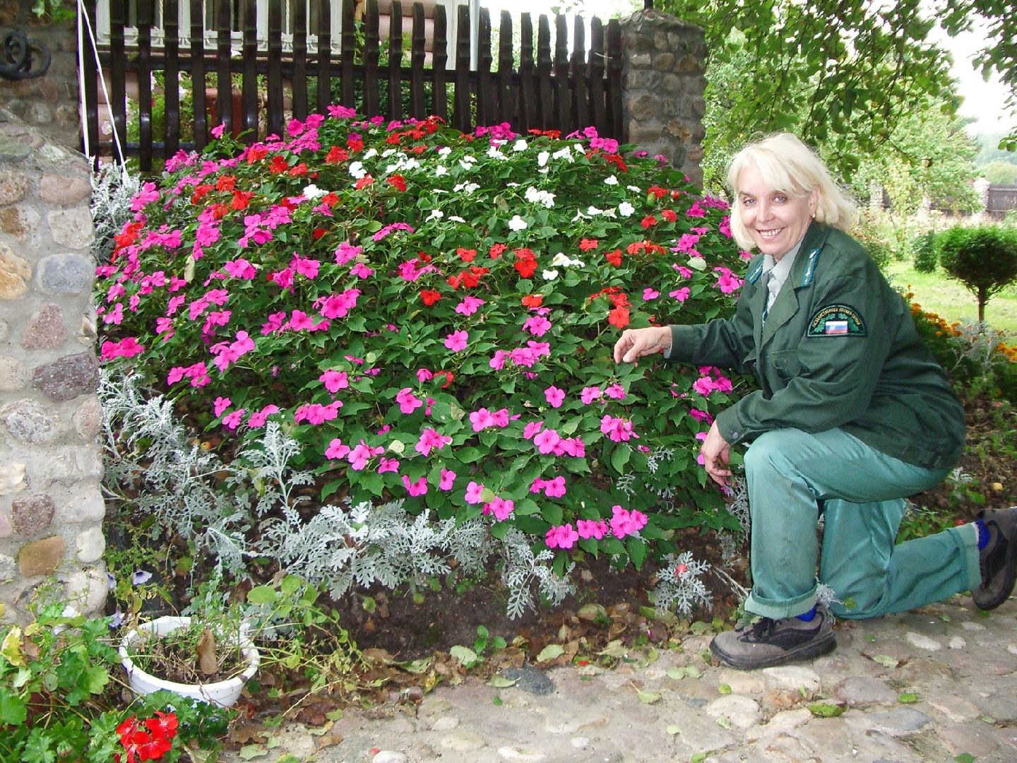 экология, лес, лобня,