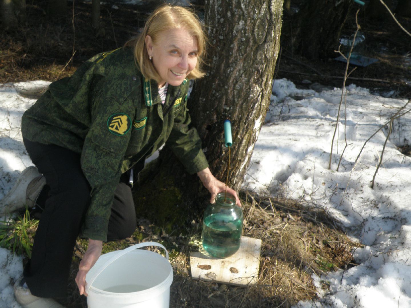 экология, лес, лобня,