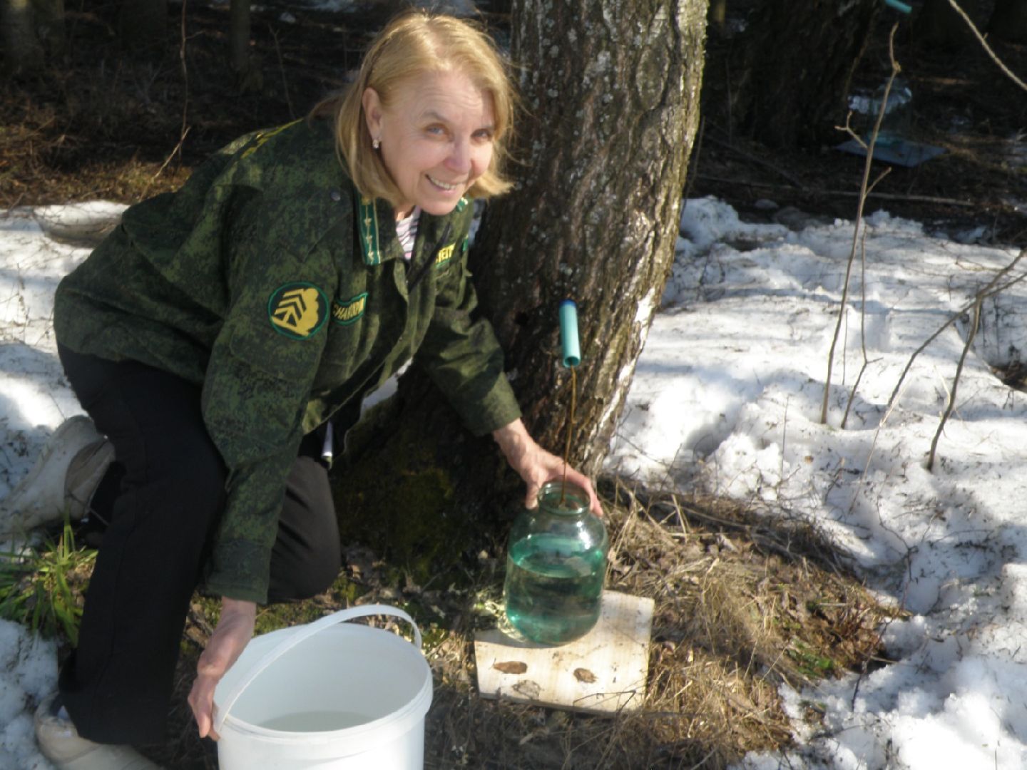 экология, лес, лобня,