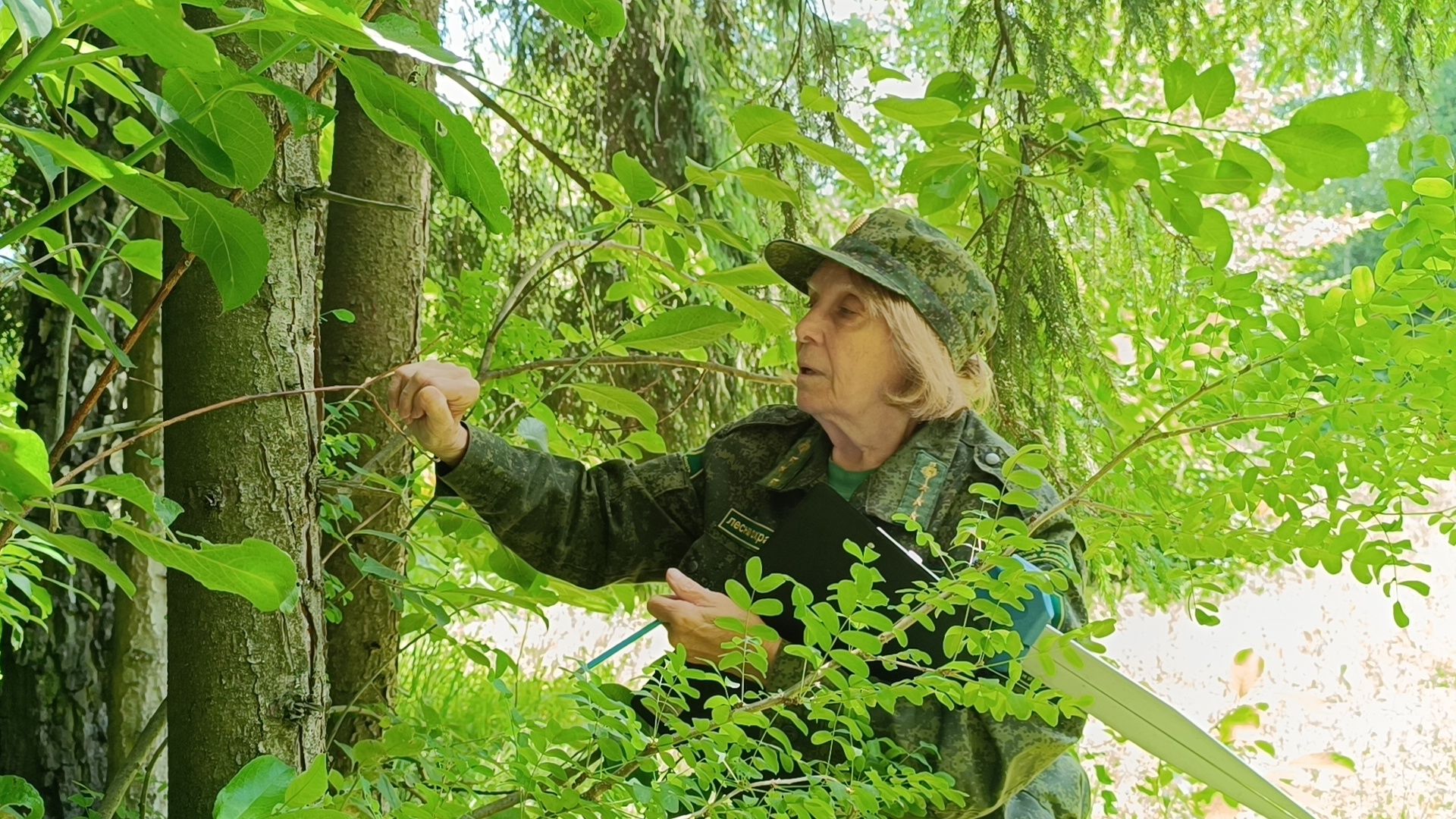 экология, лес, лобня,