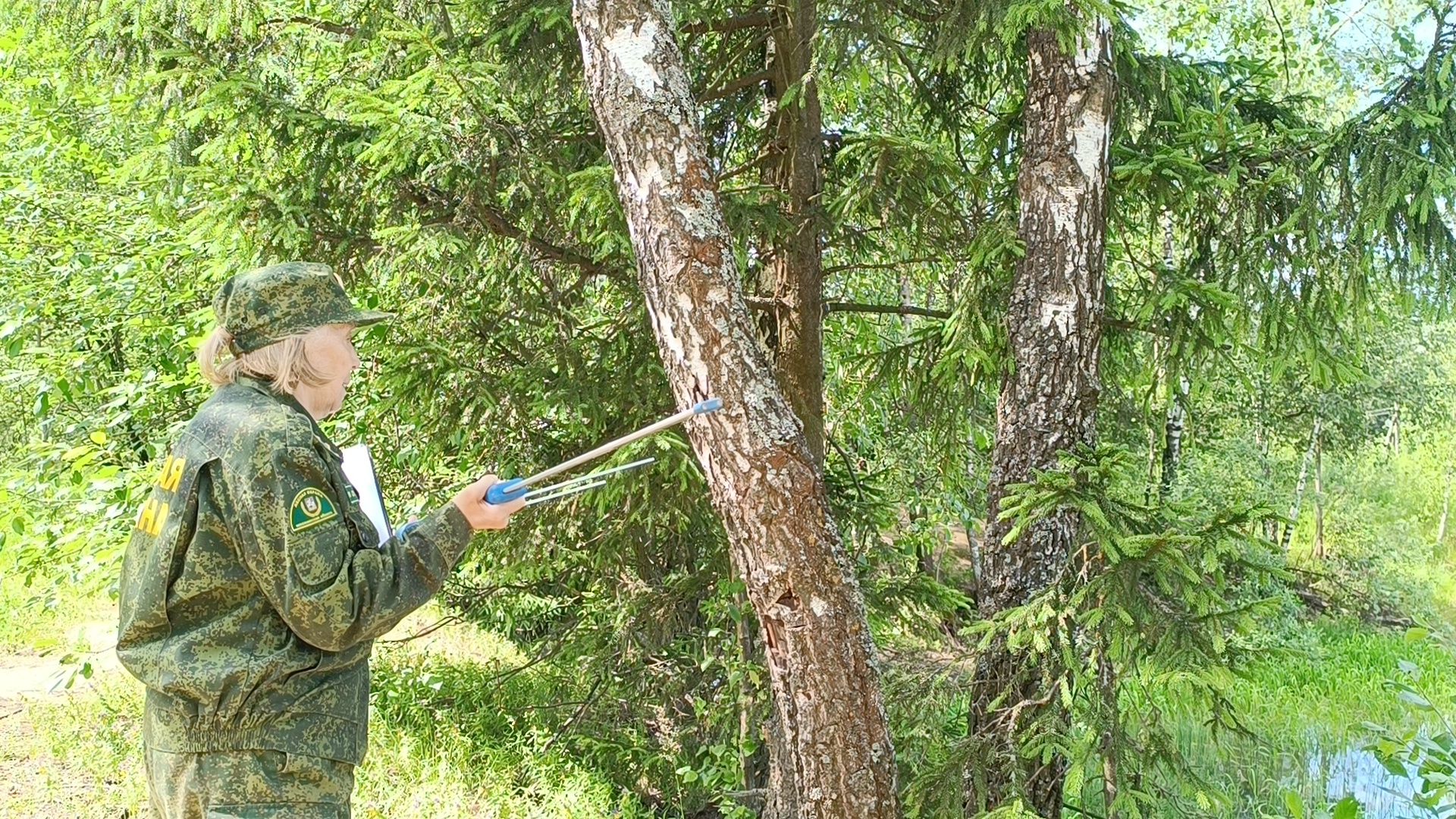 экология, лес, лобня,