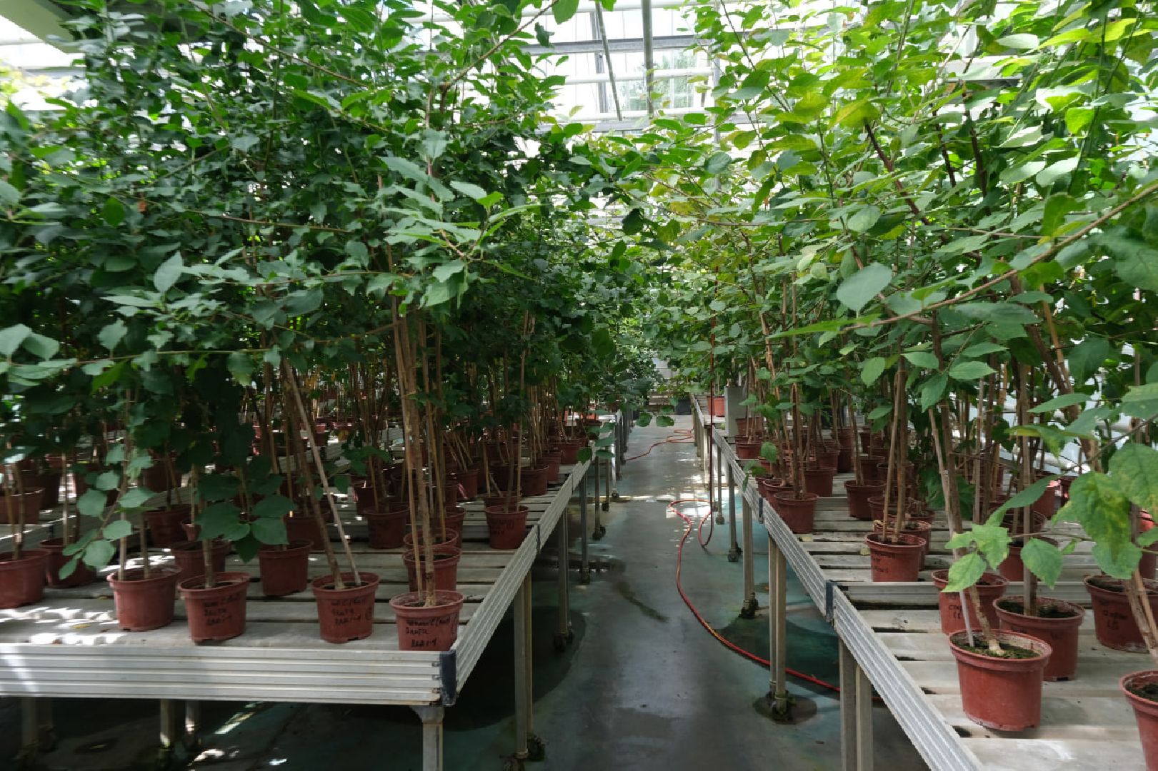 пущино, серпухов, наука, образование,