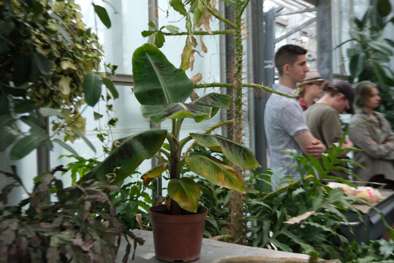 пущино, серпухов, наука, образование,