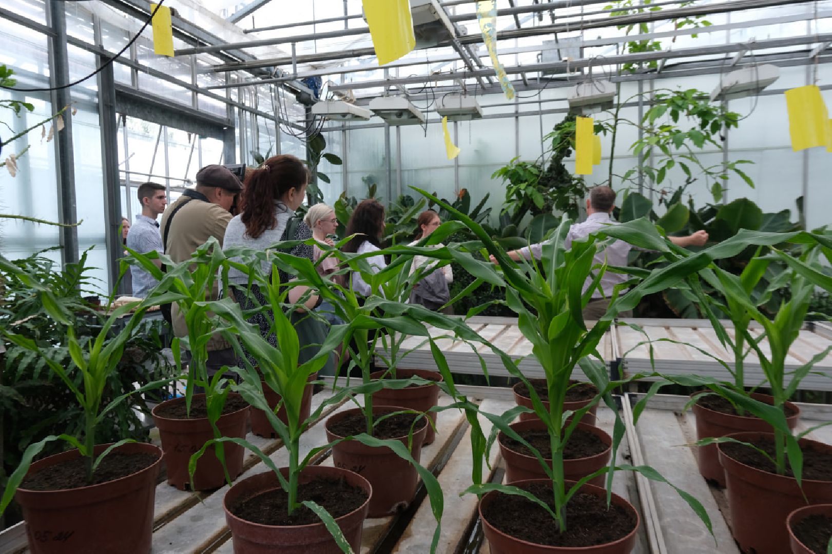 пущино, серпухов, наука, образование,