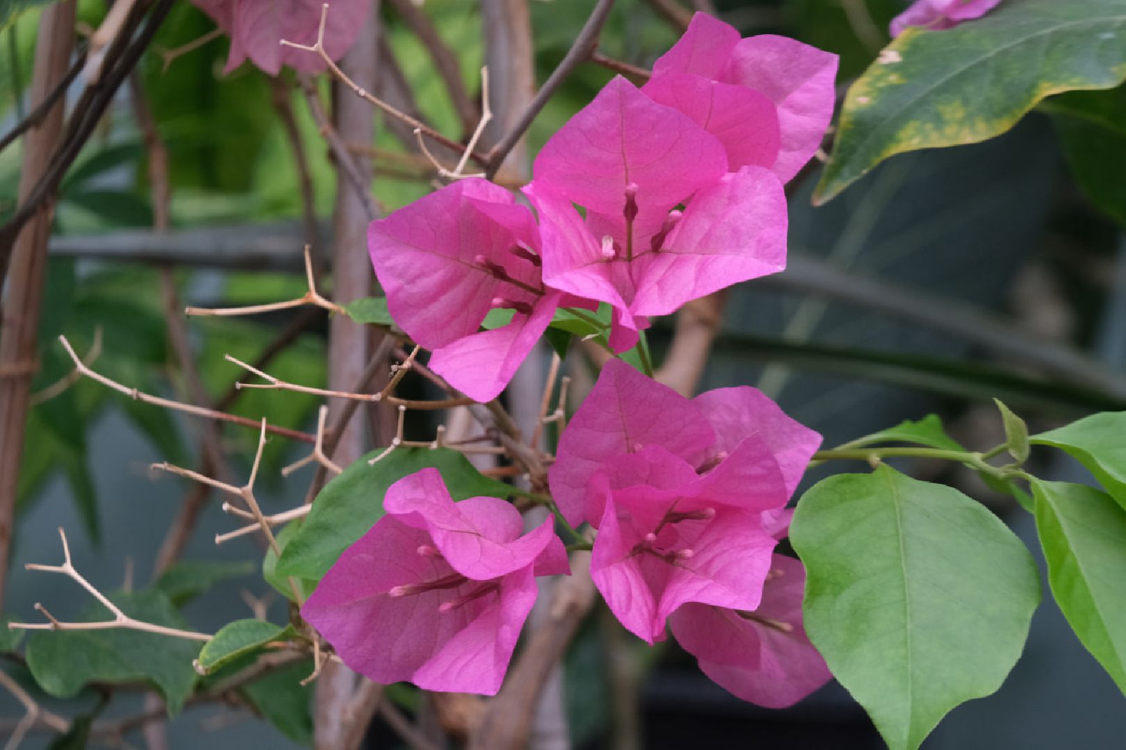 пущино, серпухов, наука, образование,