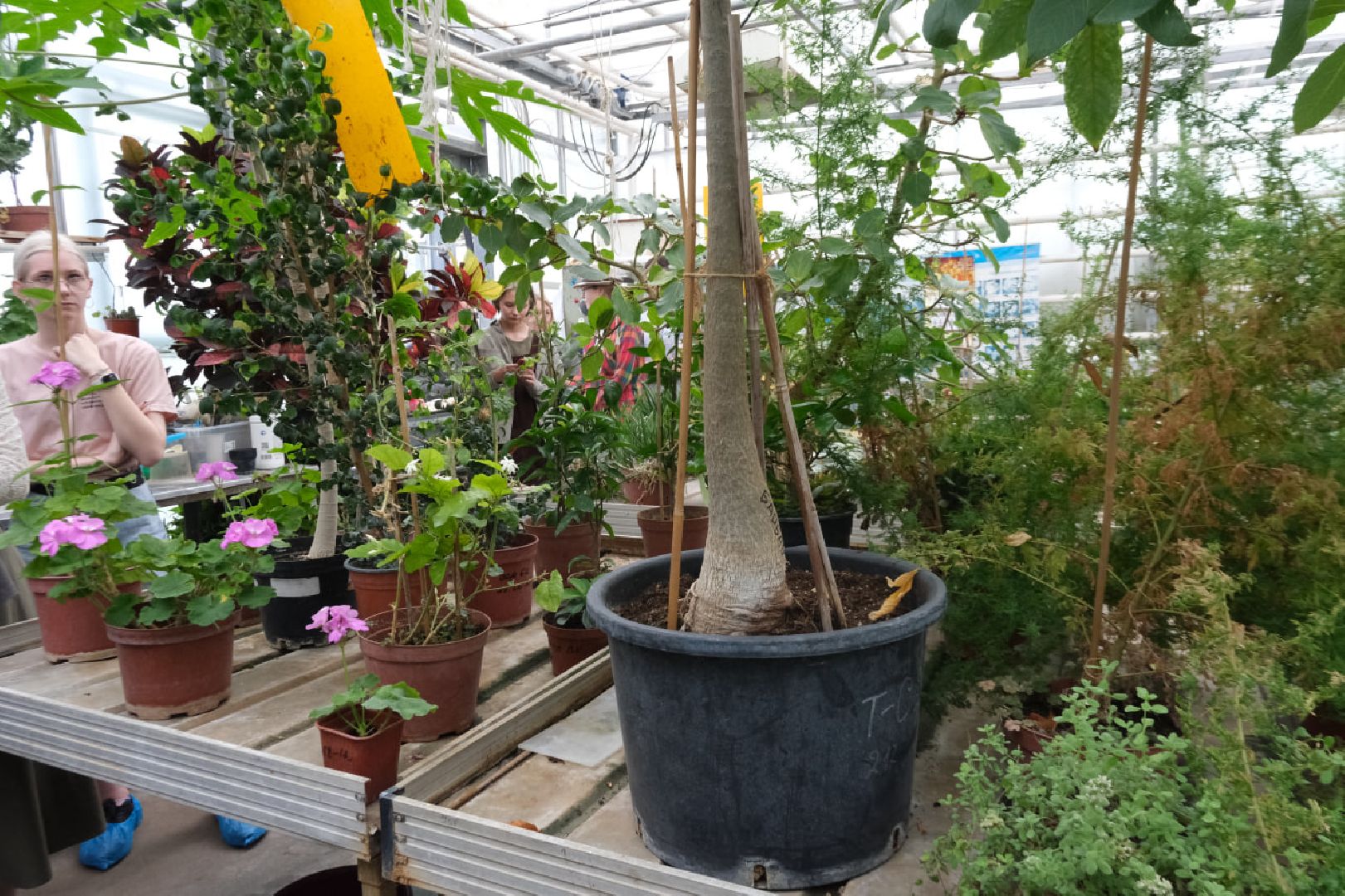 пущино, серпухов, наука, образование,