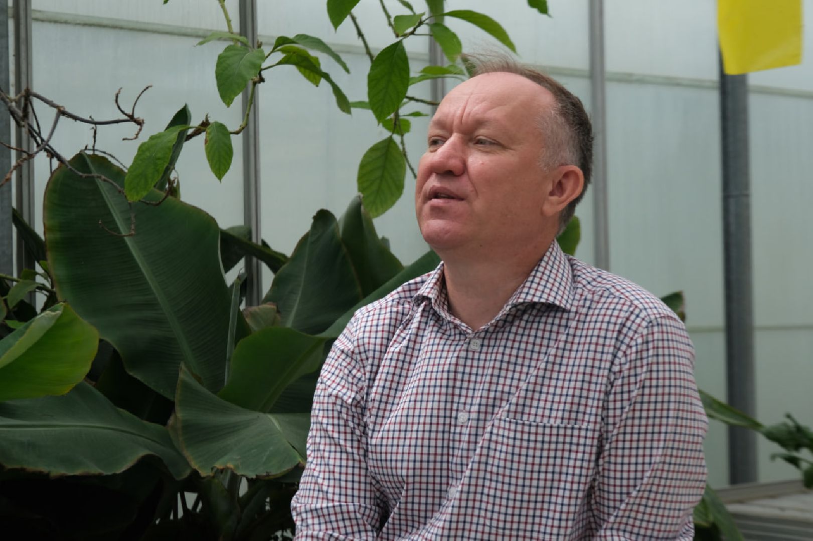 пущино, серпухов, наука, образование,