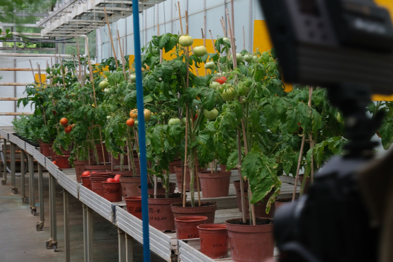 пущино, серпухов, наука, образование,