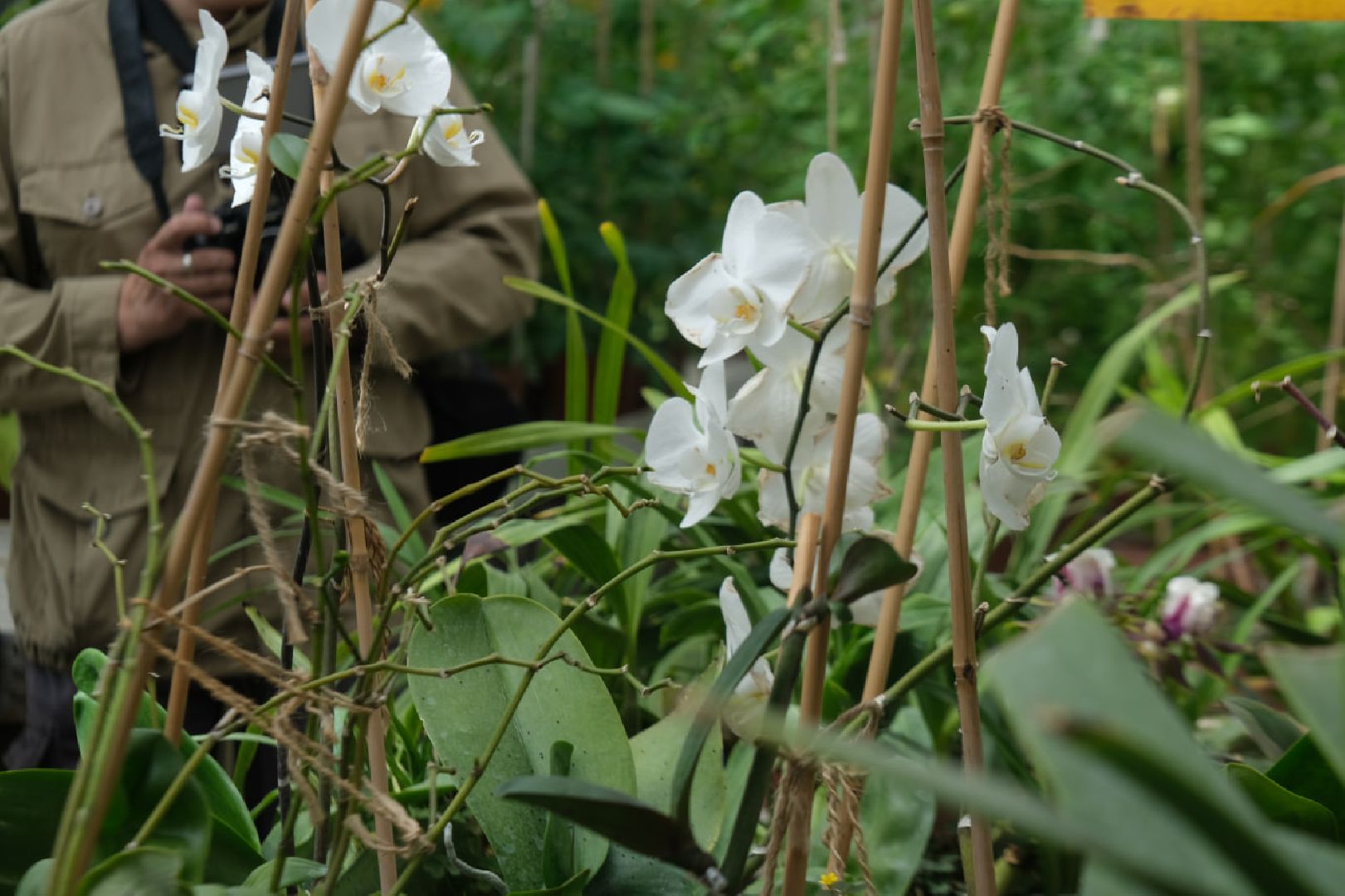 пущино, серпухов, наука, образование,