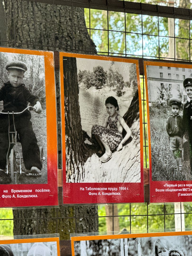 Выставка, Сквер Юность, Город Видное, Фотографии, Экспозиция,