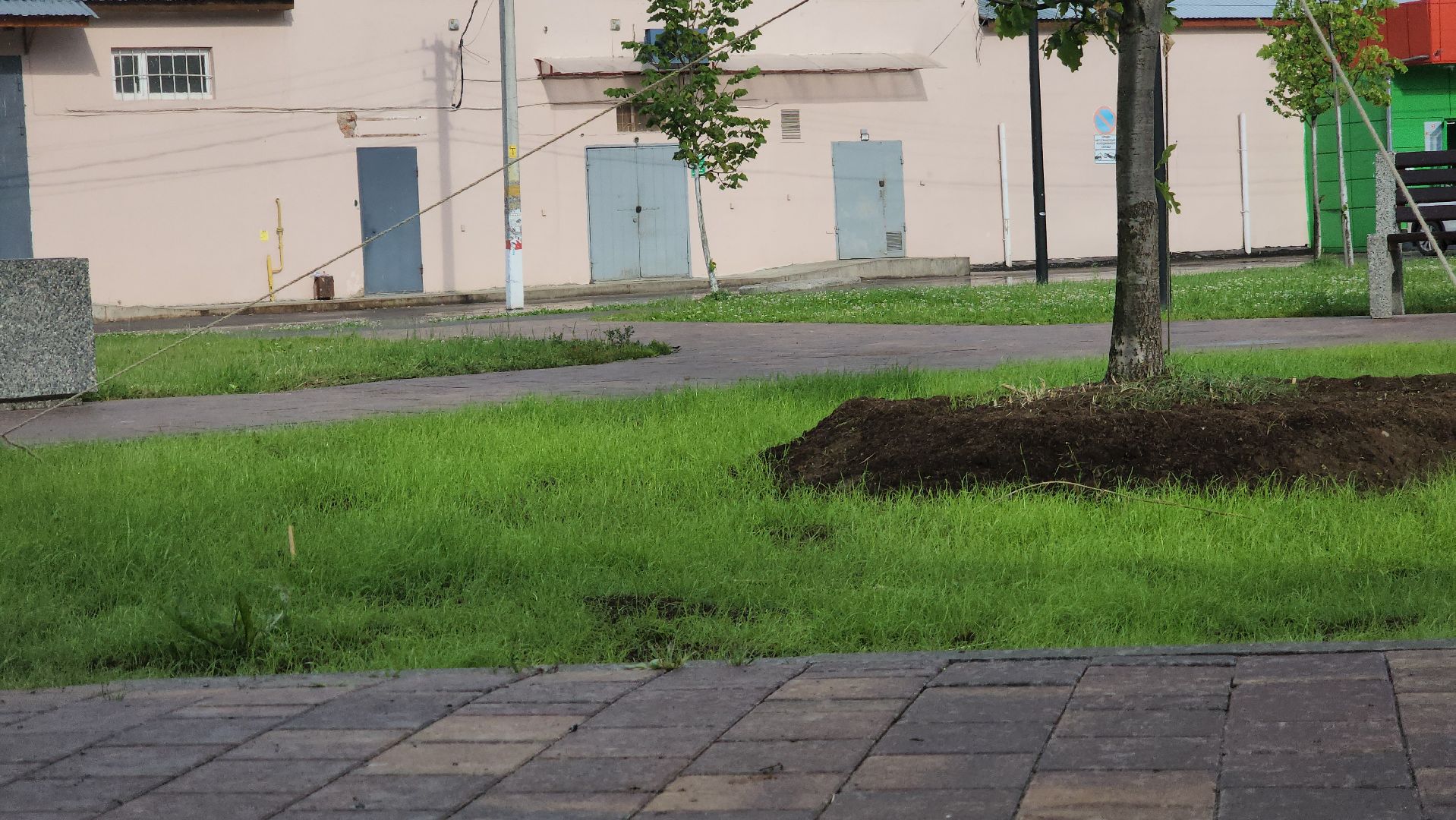 Павловский Посад, Городской округ Павловский Посад, Благоустройство, Ремонт, Сквер, Дуб,