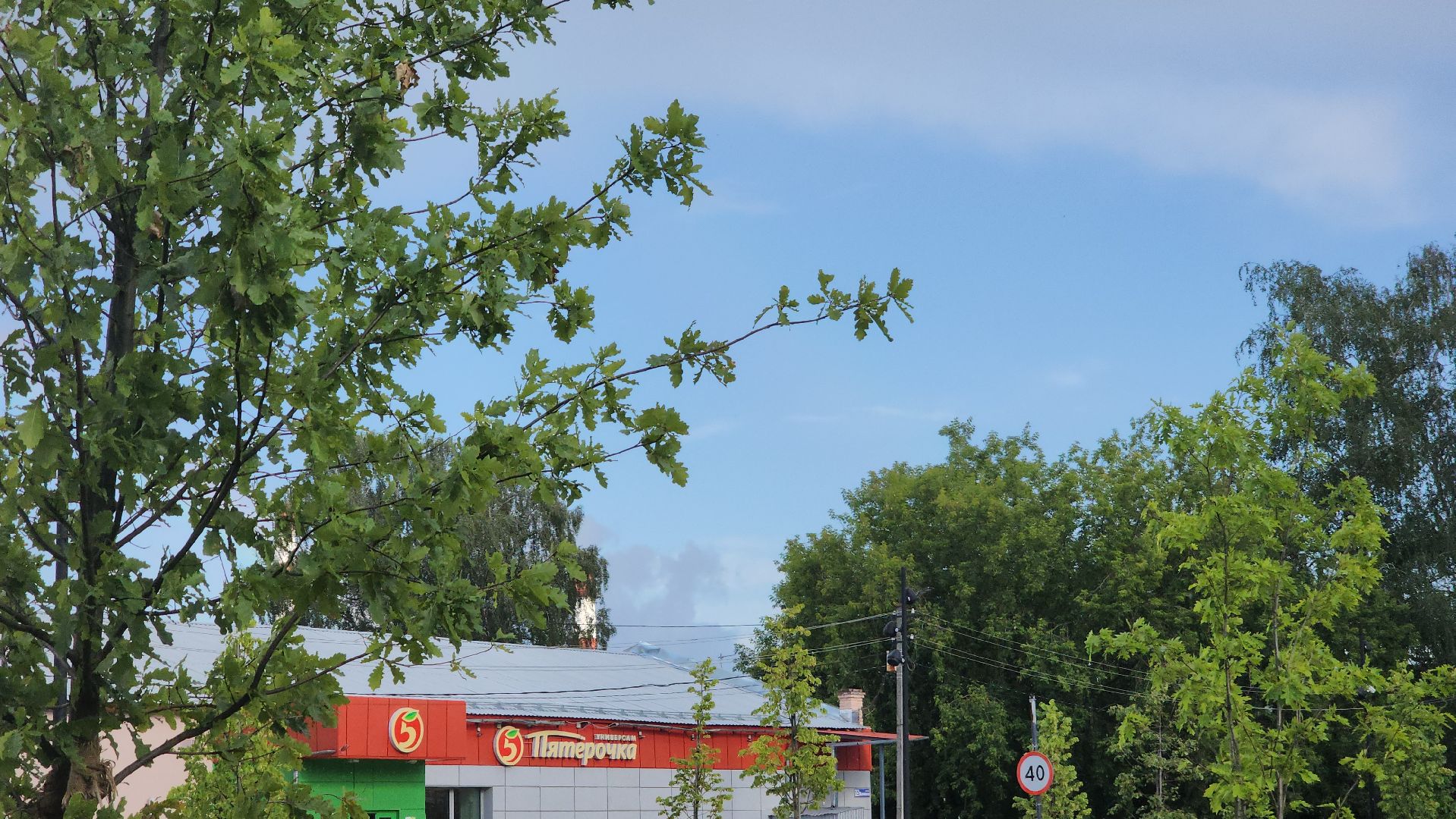 Павловский Посад, Городской округ Павловский Посад, Благоустройство, Ремонт, Сквер, Дуб,