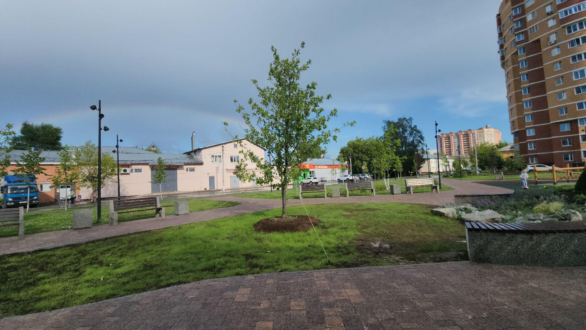 Павловский Посад, Городской округ Павловский Посад, Благоустройство, Ремонт, Сквер, Дуб,