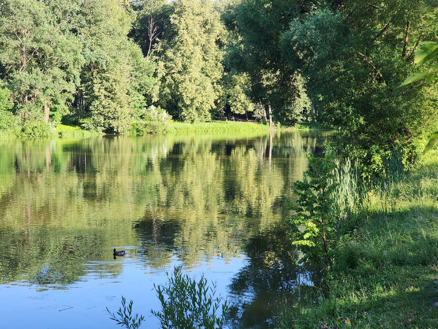 Звенигород, Туризм, свадьба в подмосковье,
