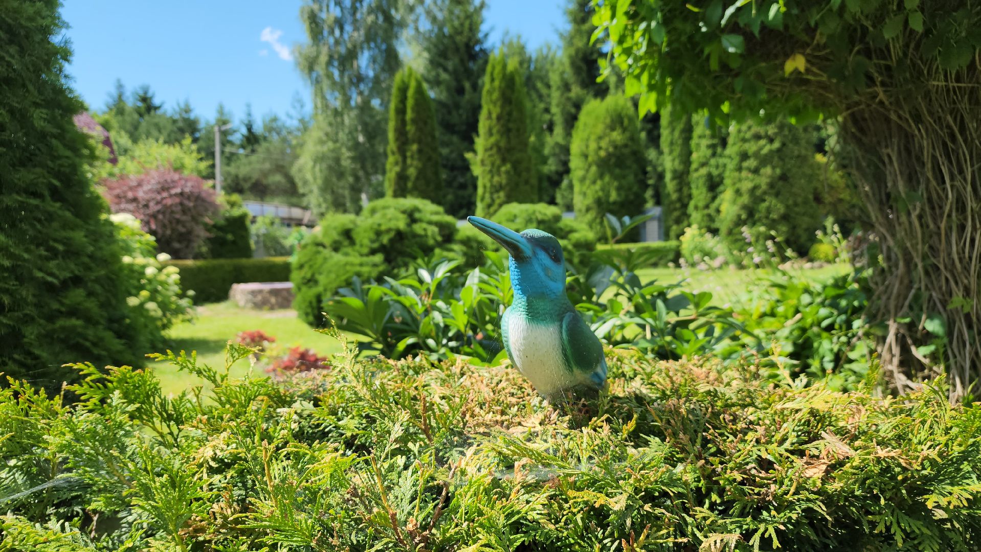 юбилей семейной жизни, золотая свадьба, Лосино-Петровский,