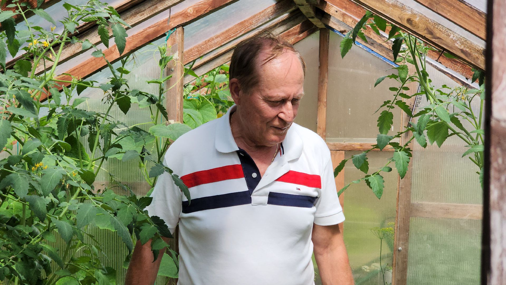 юбилей семейной жизни, золотая свадьба, Лосино-Петровский,