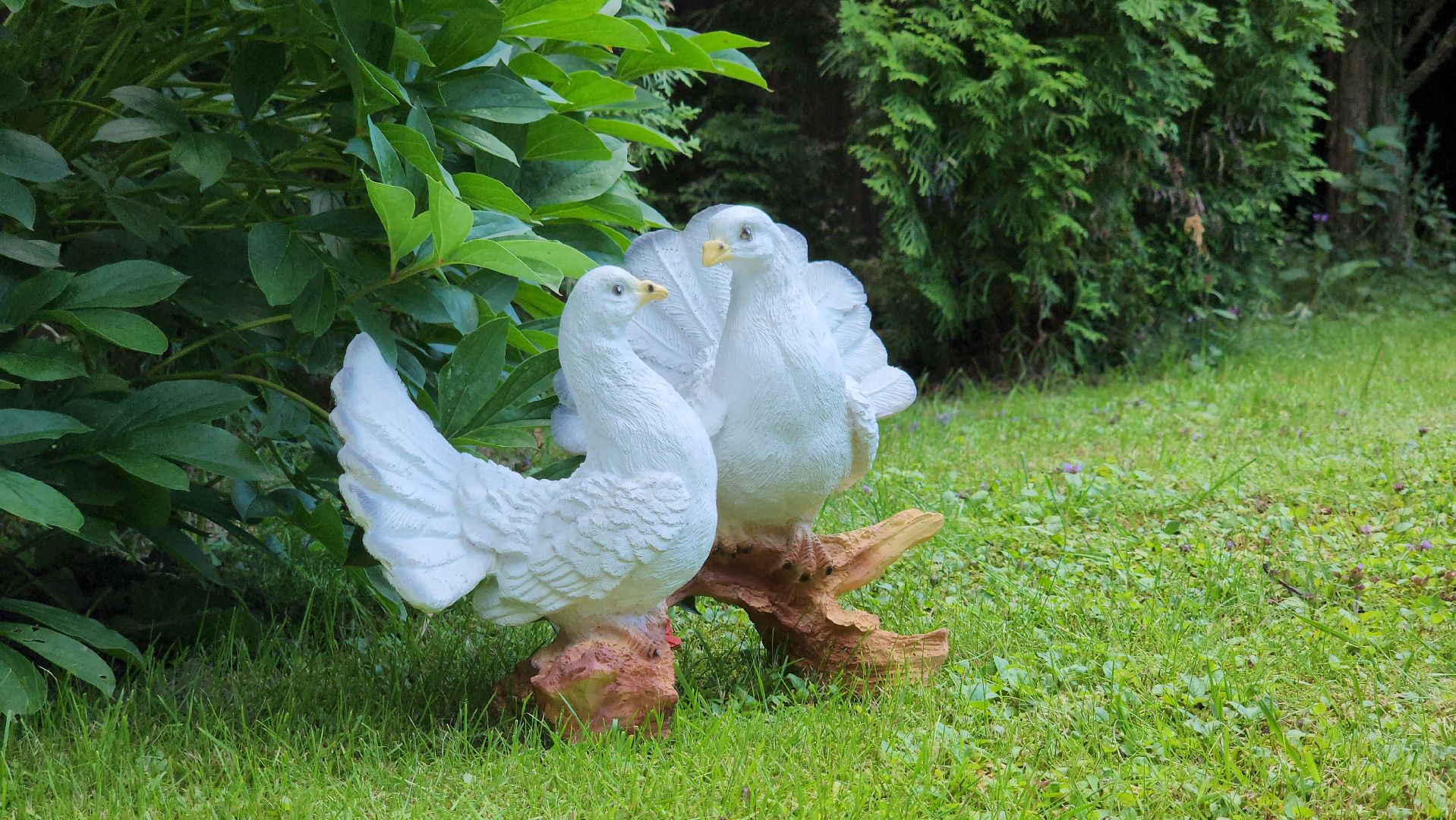 юбилей семейной жизни, золотая свадьба, Лосино-Петровский,
