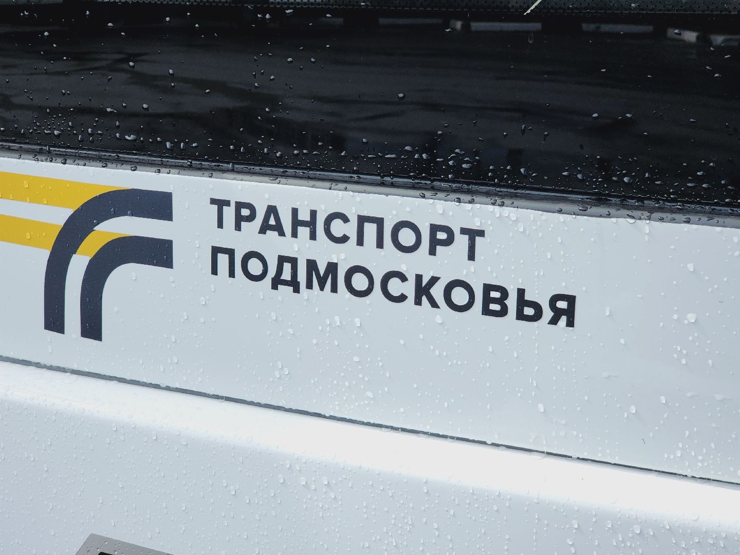 Егорьевск, Подмосковье, Московская область, Новый автобус,