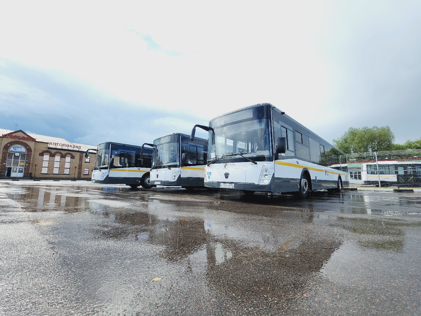 Егорьевск, Подмосковье, Московская область, Новый автобус,