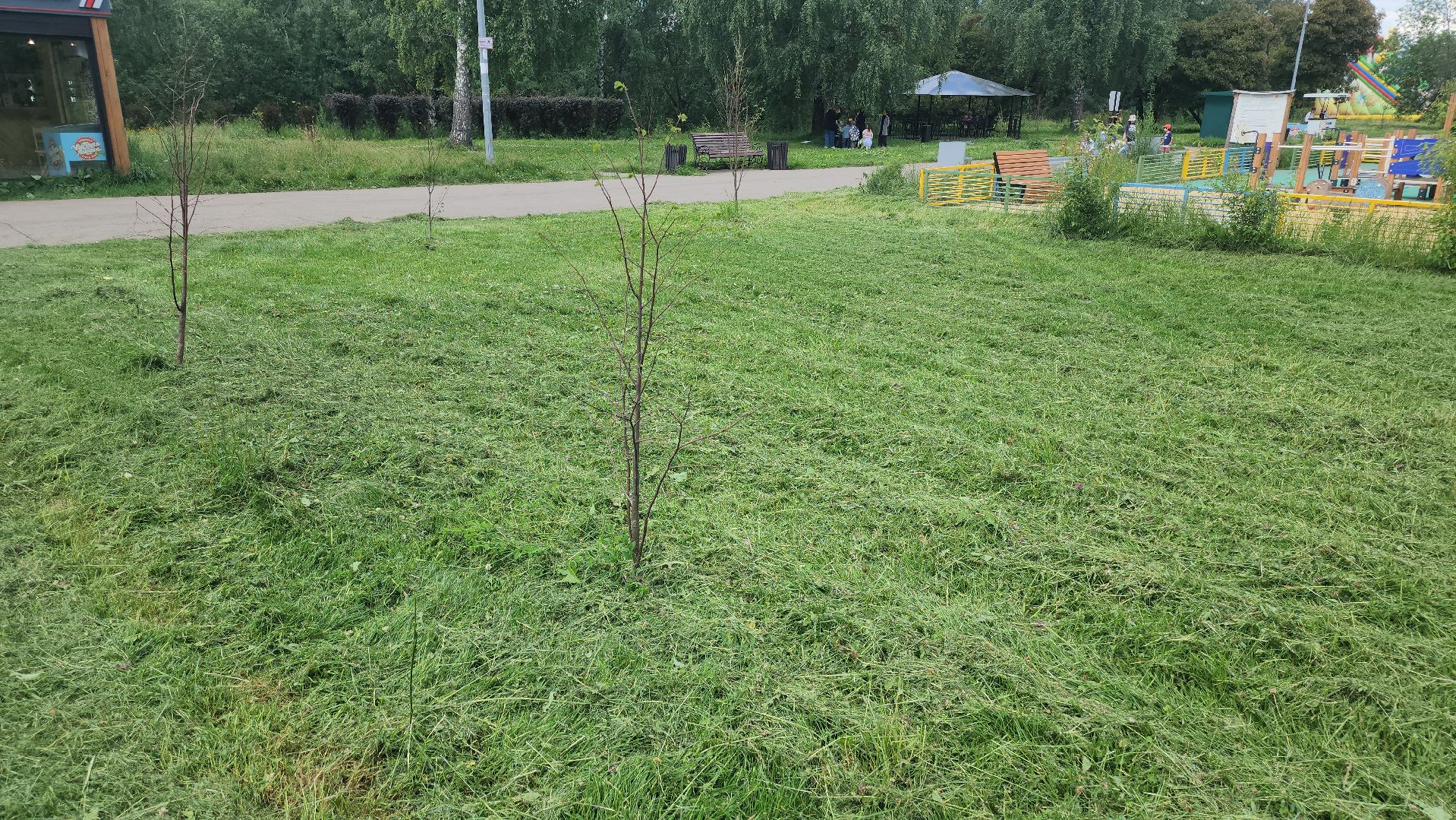 долгопрудный, покос травы, парк на молодежной, парк мысово, Медиапикник,