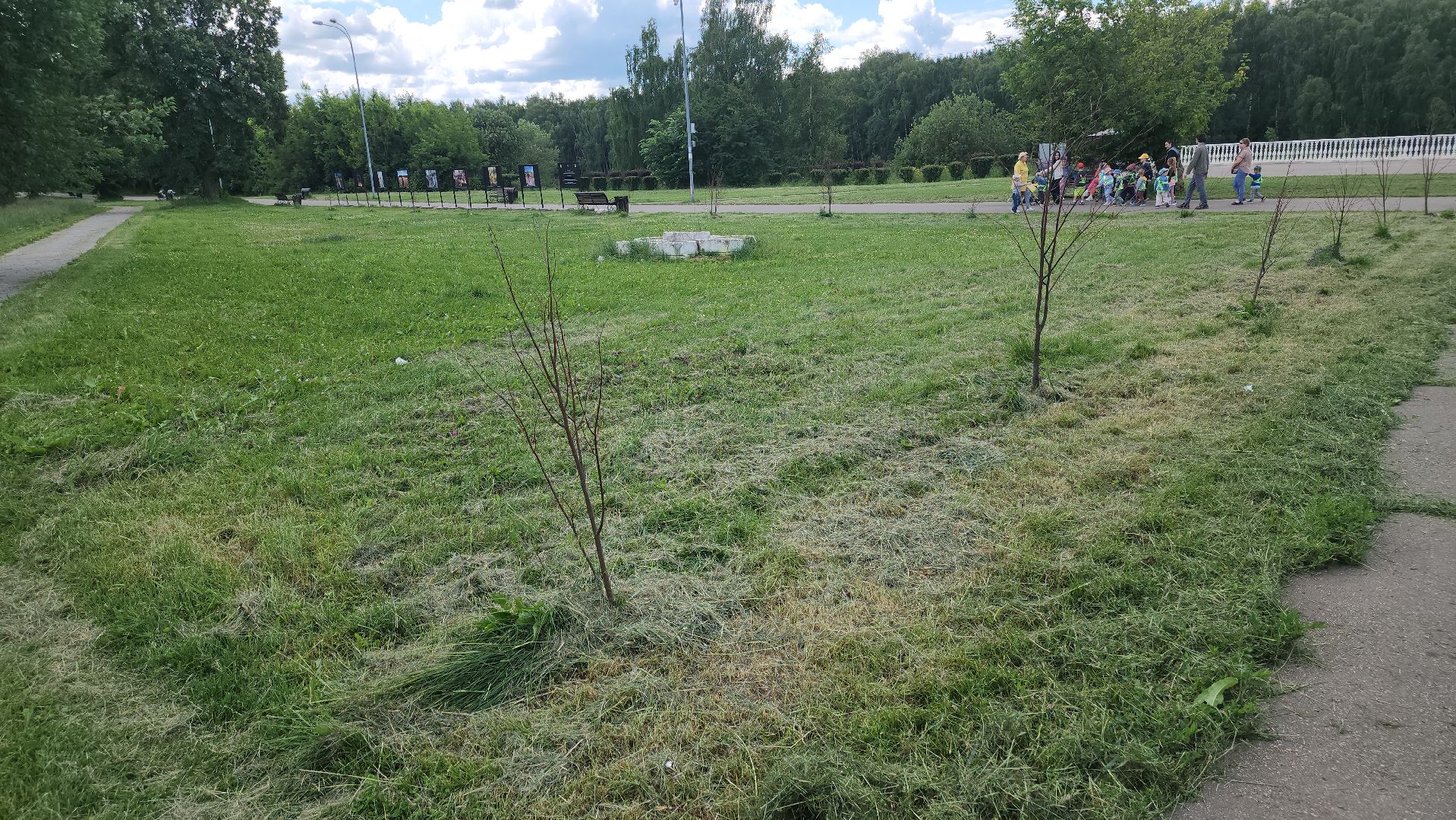 долгопрудный, покос травы, парк на молодежной, парк мысово, Медиапикник,