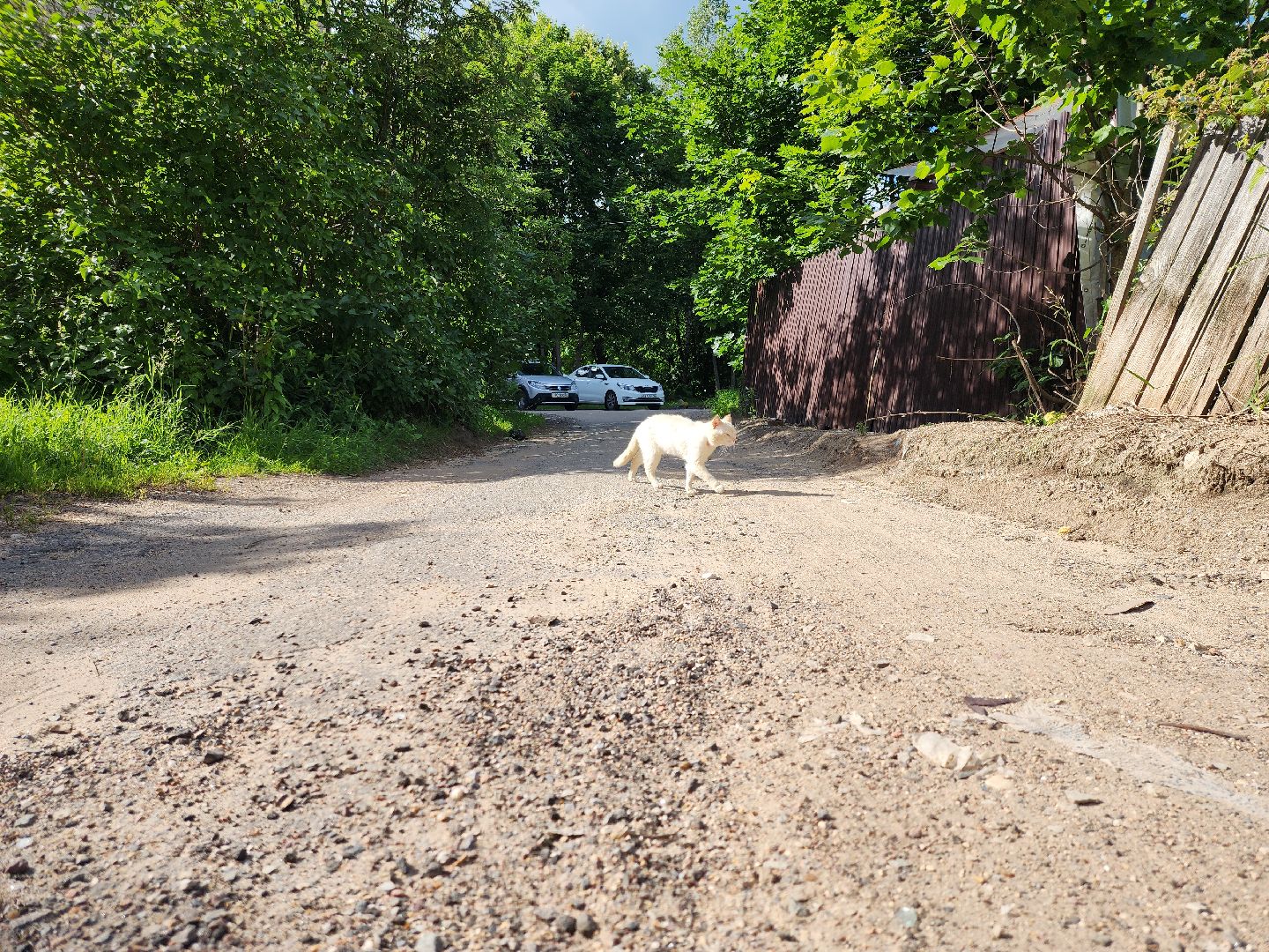 выездная администрация, выездная администрация руза, контейнерная площадка, ремонт пешеходной дорожки, рузский городской округ, московская область,