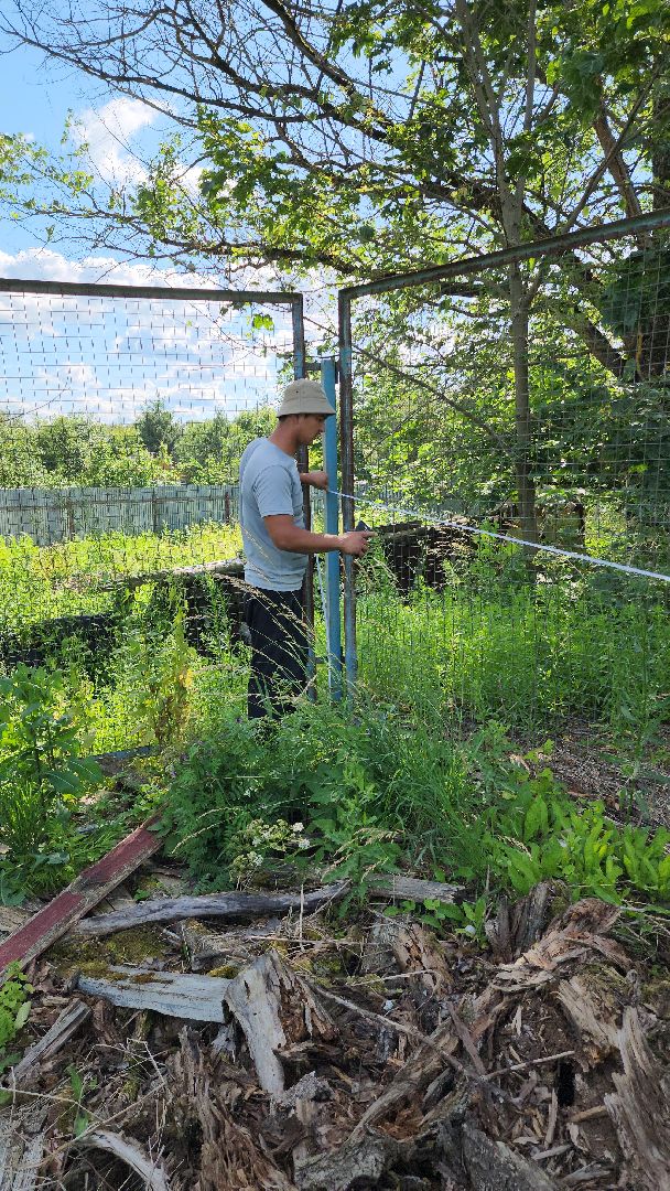 руза, рузский городской округ, хоккейная коробка, дорохово, строительство, спорт в рузе, московская область,