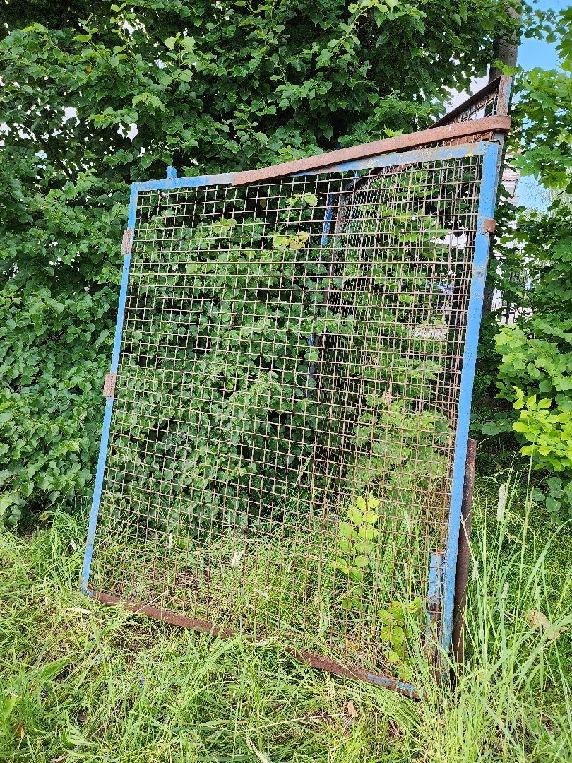 руза, рузский городской округ, хоккейная коробка, дорохово, строительство, спорт в рузе, московская область,