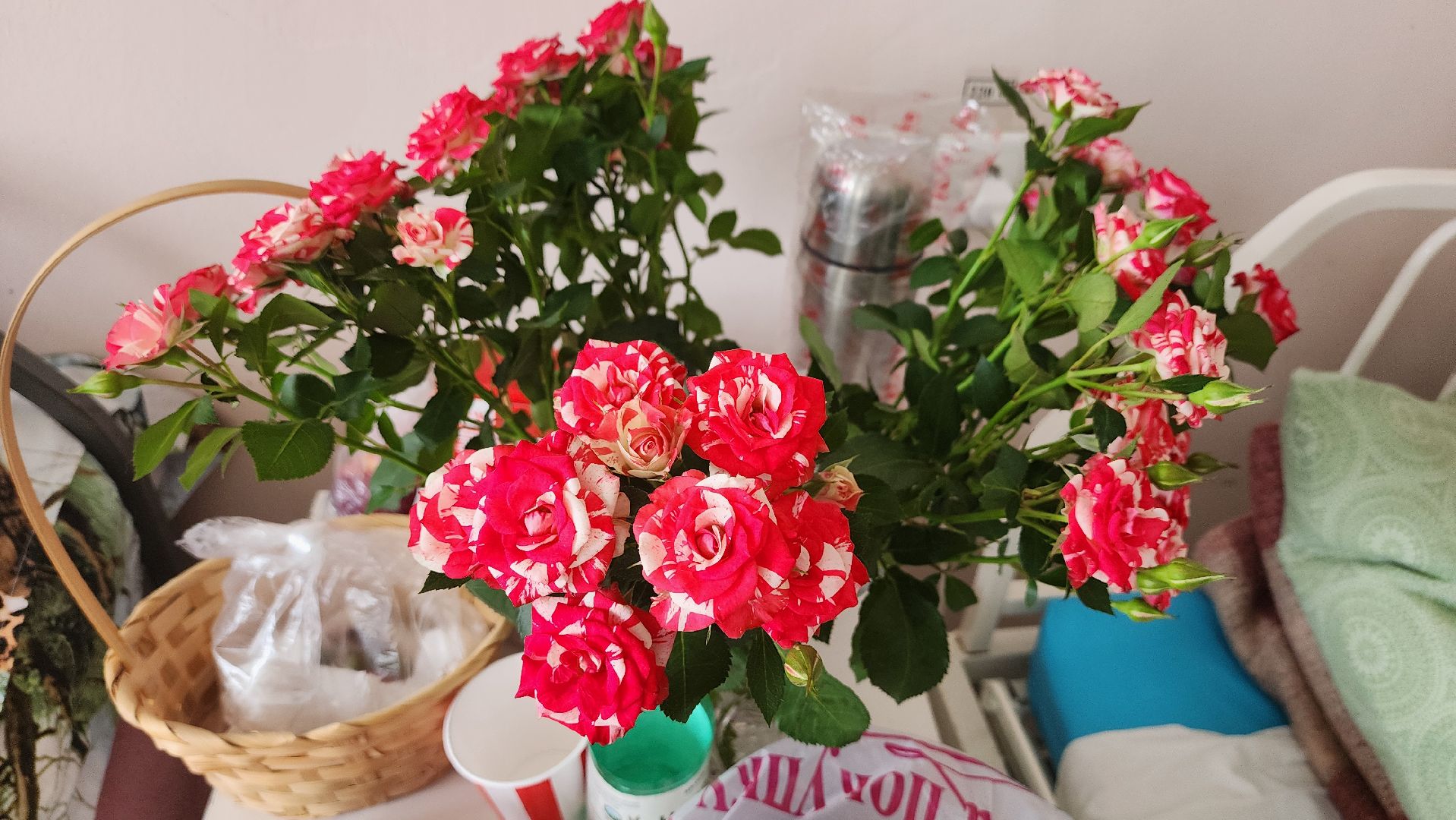 Солнечногорск, медицина, травматология,